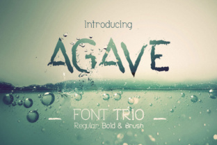 Agave Font Trio: A Modern Typeface System for Cohesive Design